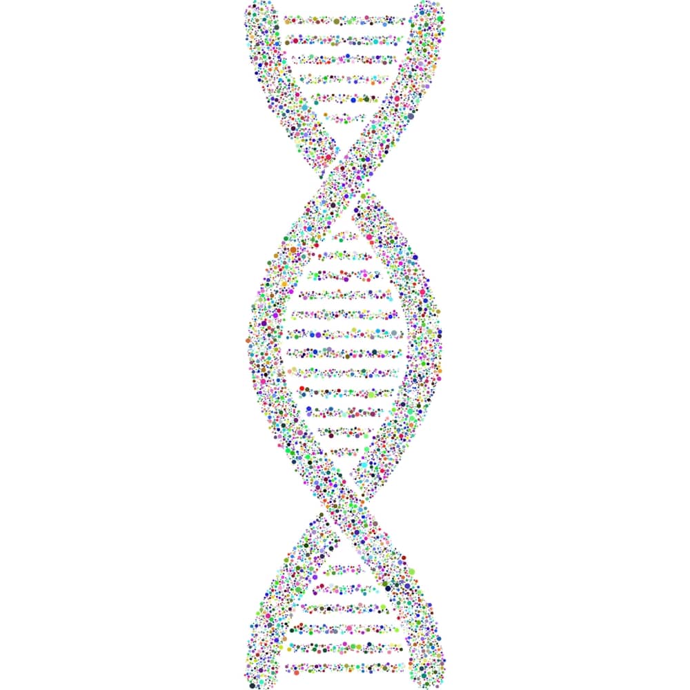 dna